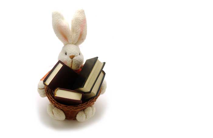 Rabbit-library